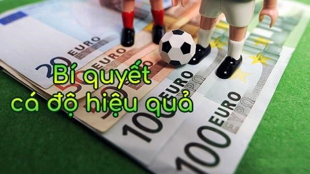 kinh nghiệm chơi cá độ bóng đá hiệu quả như thế nào? kinh nghiem choi ca do bong da hieu qua nhu the nao?