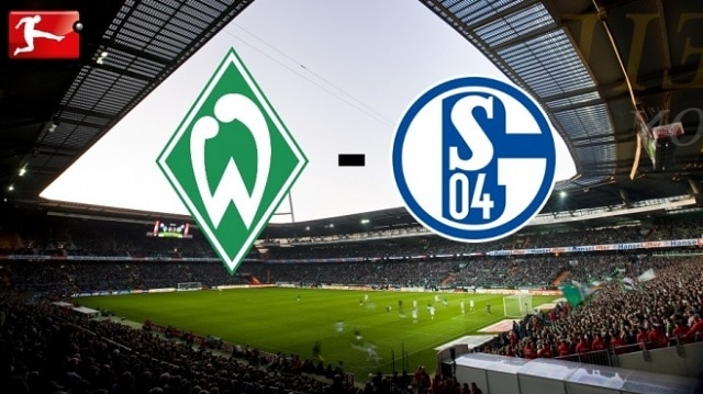 Soi kèo nhà cái bóng đá trận Schalke vs Werder Bremen